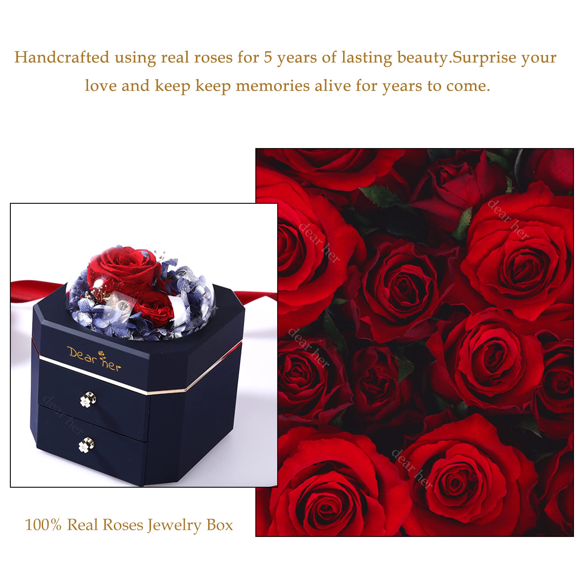 Amazon｜Dear her Beauty and The Beast Rose ハンドメイド
